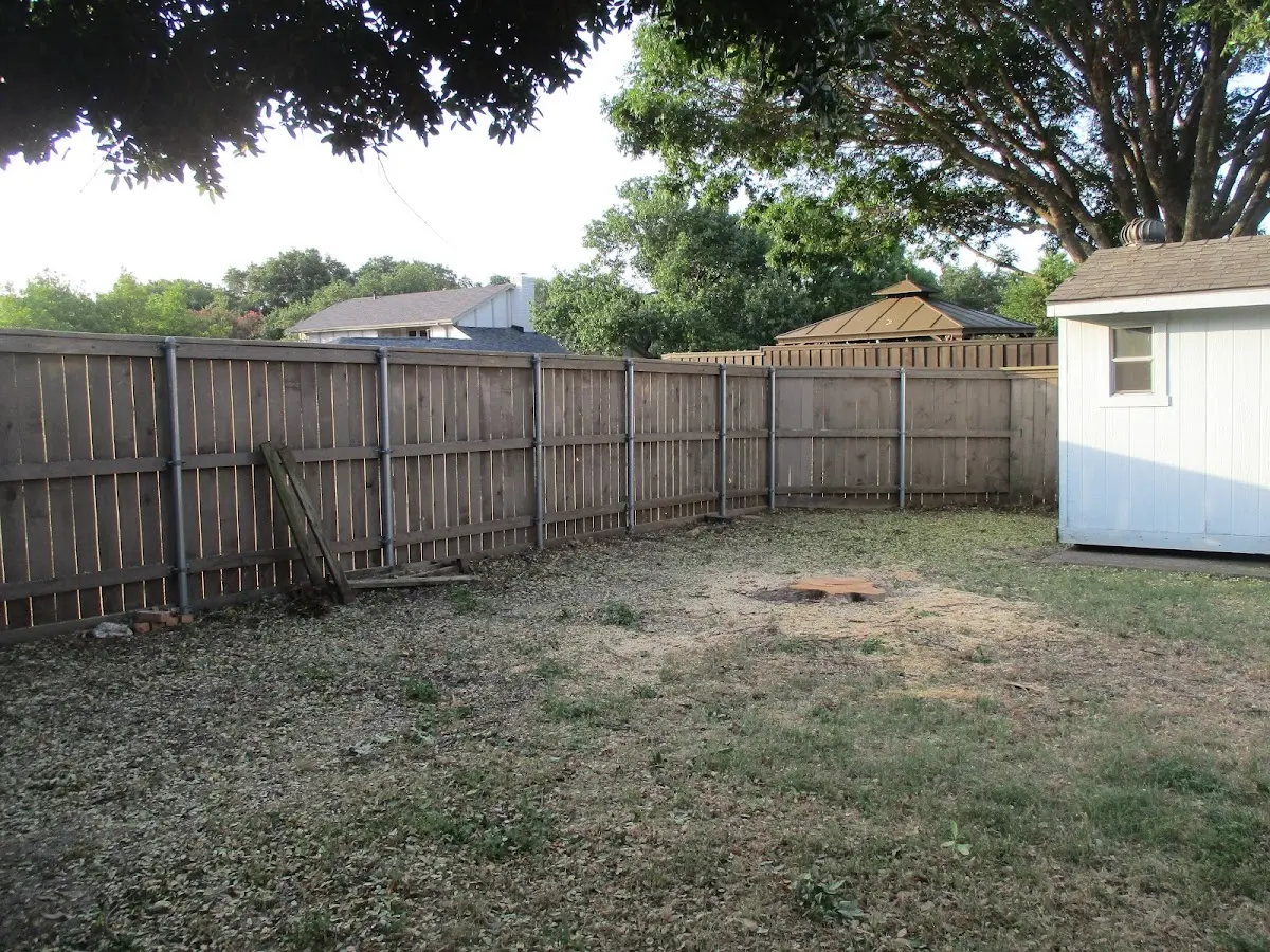 Cleared yard after professional tree removal in Dahlonega
